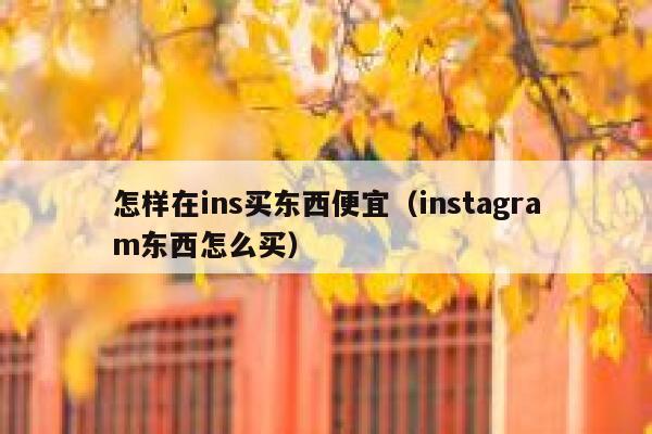 怎样在ins买东西便宜（instagram东西怎么买） 第1张