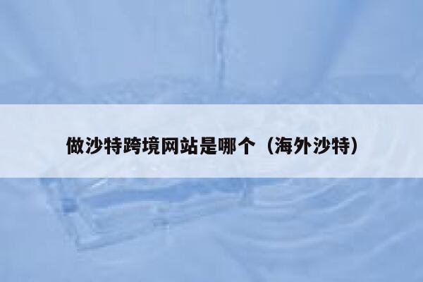 做沙特跨境网站是哪个（海外沙特） 第1张