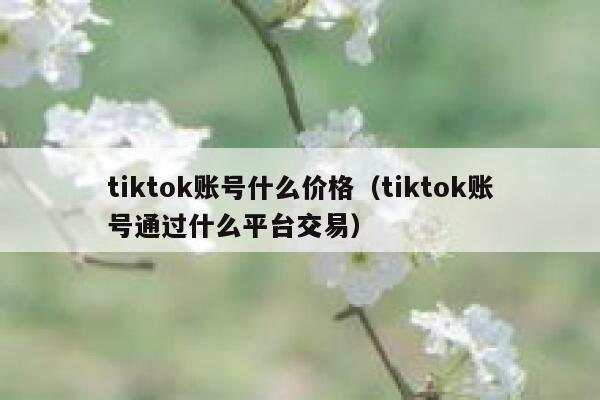 tiktok账号什么价格（tiktok账号通过什么平台交易） 第1张