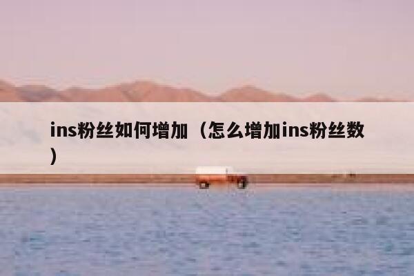 ins粉丝如何增加（怎么增加ins粉丝数） 第1张