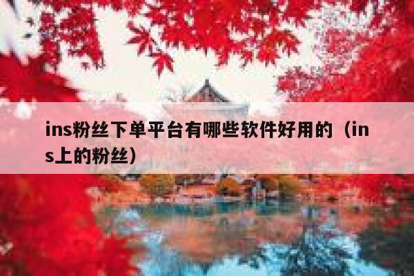 ins粉丝下单平台有哪些软件好用的（ins上的粉丝） 第1张