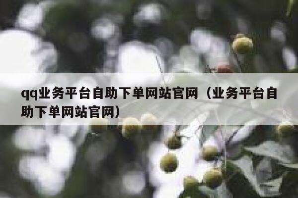 qq业务平台自助下单网站官网（业务平台自助下单网站官网） 第1张