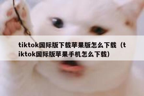 tiktok国际版下载苹果版怎么下载(tiktok国际版苹果手机怎么下载) 第1张 tiktok国际版下载苹果版怎么下载(tiktok国际版苹果手机怎么下载) 第1张