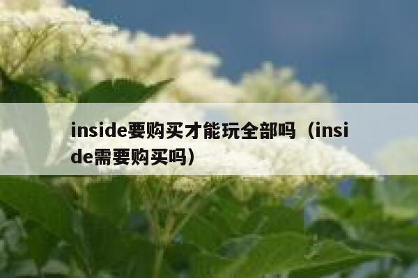 inside要购买才能玩全部吗(inside需要购买吗) 第1张 inside要购买才能玩全部吗(inside需要购买吗) 第1张