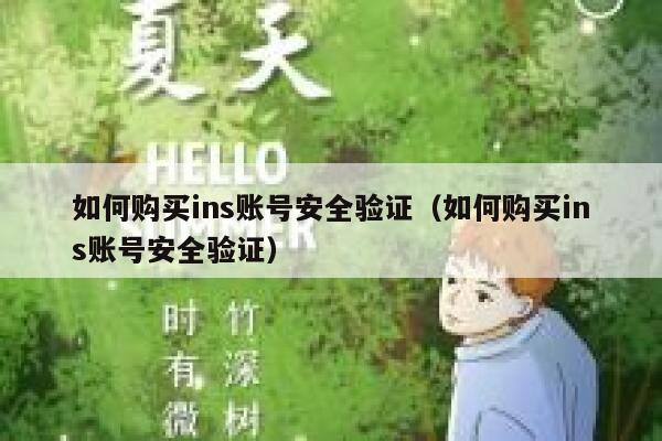 如何购买ins账号安全验证（如何购买ins账号安全验证） 第1张