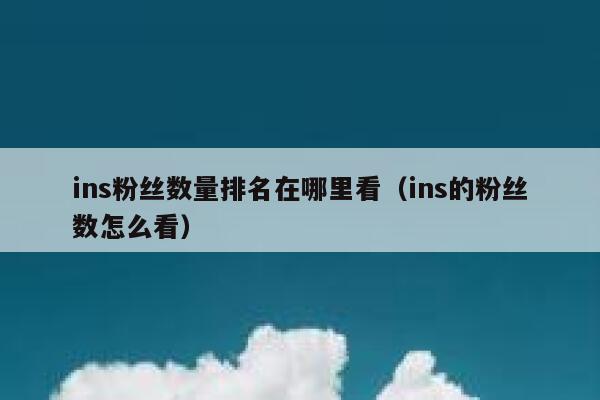ins粉丝数量排名在哪里看（ins的粉丝数怎么看） 第1张
