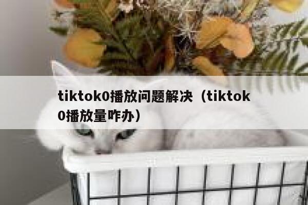 tiktok0播放问题解决（tiktok0播放量咋办） 第1张