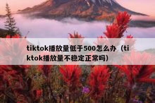 tiktok播放量低于500怎么办（tiktok播放量不稳定正常吗） 第1张