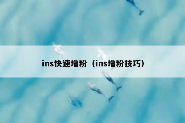 ins快速增粉（ins增粉技巧） 第1张
