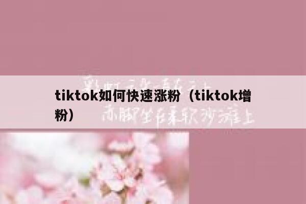 tiktok如何快速涨粉（tiktok增粉） 第1张