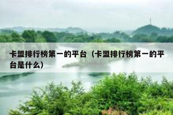 卡盟排行榜第一的平台（卡盟排行榜第一的平台是什么） 第1张
