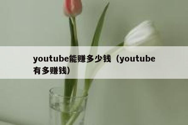 youtube能赚多少钱（youtube有多赚钱） 第1张