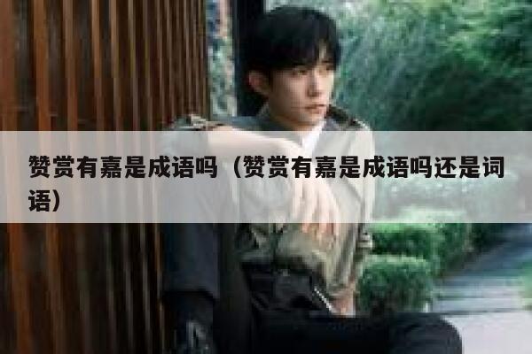 赞赏有嘉是成语吗（赞赏有嘉是成语吗还是词语） 第1张
