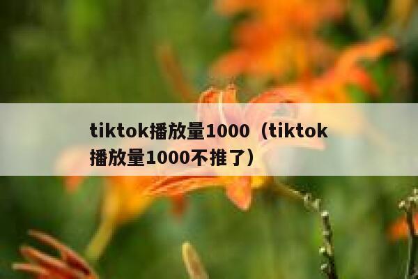tiktok播放量1000（tiktok播放量1000不推了） 第1张