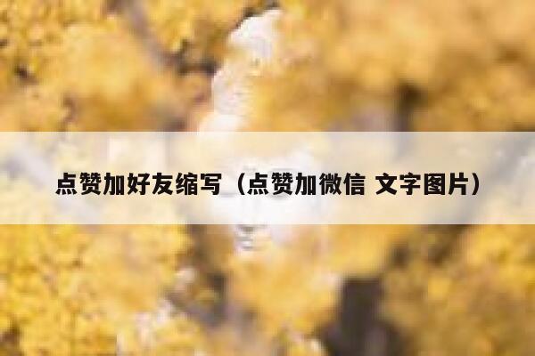 点赞加好友缩写（点赞加微信 文字图片） 第1张