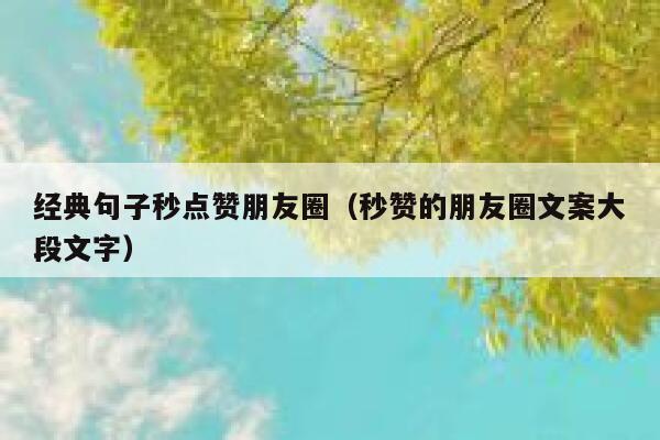 经典句子秒点赞朋友圈（秒赞的朋友圈文案大段文字） 第1张