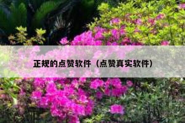 正规的点赞软件（点赞真实软件） 第1张