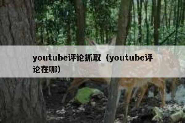 youtube评论抓取（youtube评论在哪） 第1张