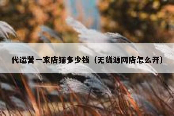 代运营一家店铺多少钱（无货源网店怎么开） 第1张