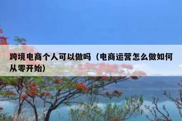 跨境电商个人可以做吗（电商运营怎么做如何从零开始） 第1张