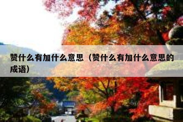赞什么有加什么意思（赞什么有加什么意思的成语） 第1张