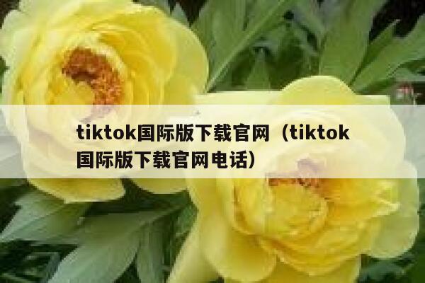 tiktok国际版下载官网（tiktok国际版下载官网电话） 第1张