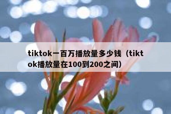 tiktok一百万播放量多少钱（tiktok播放量在100到200之间） 第1张