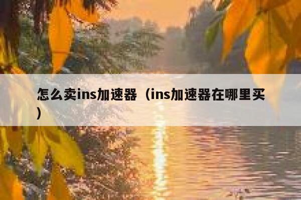 怎么卖ins加速器（ins加速器在哪里买） 第1张