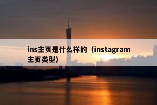 ins主页是什么样的（instagram主页类型） 第1张