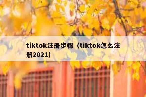 tiktok注册步骤（tiktok怎么注册2021） 第1张