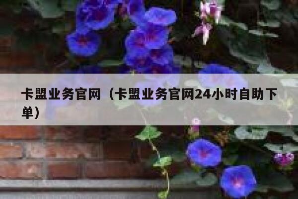 卡盟业务官网（卡盟业务官网24小时自助下单） 第1张