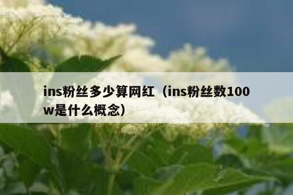 ins粉丝多少算网红（ins粉丝数100w是什么概念） 第1张