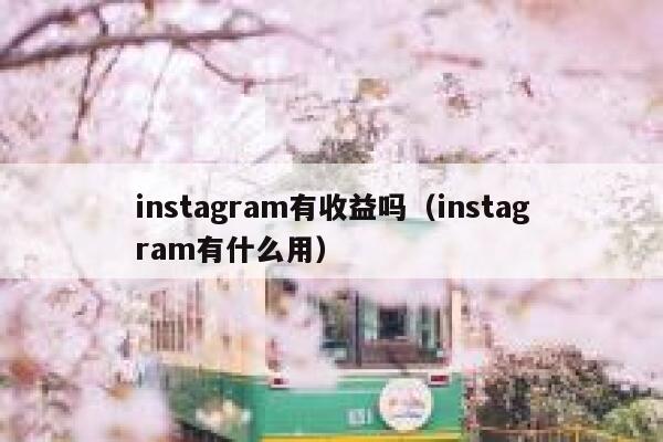 instagram有收益吗（instagram有什么用） 第1张