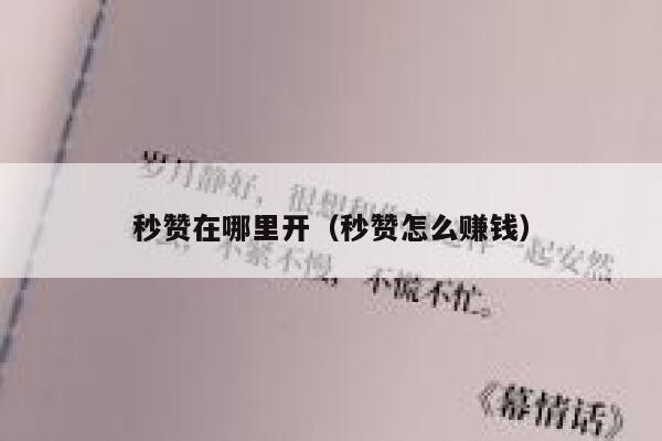 秒赞在哪里开（秒赞怎么赚钱） 第1张