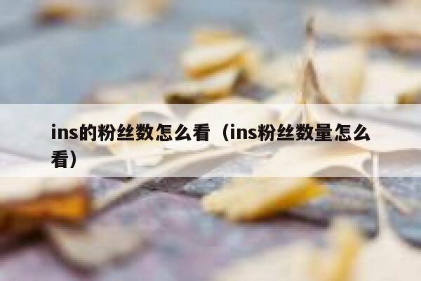 ins的粉丝数怎么看（ins粉丝数量怎么看） 第1张