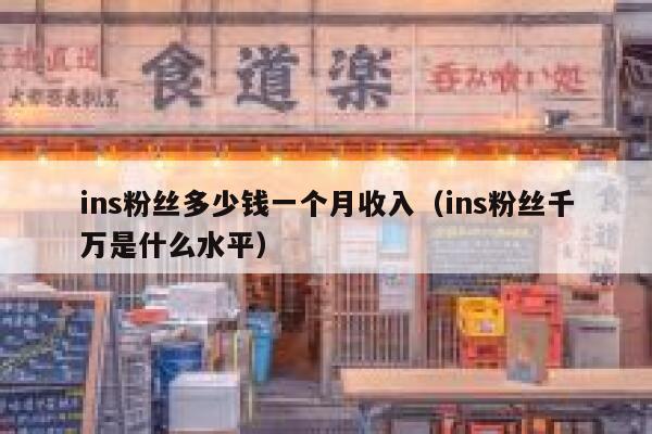 ins粉丝多少钱一个月收入（ins粉丝千万是什么水平） 第1张