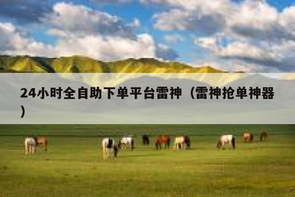 24小时全自助下单平台雷神（雷神抢单神器） 第1张