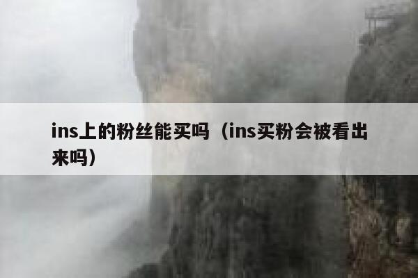 ins上的粉丝能买吗（ins买粉会被看出来吗） 第1张