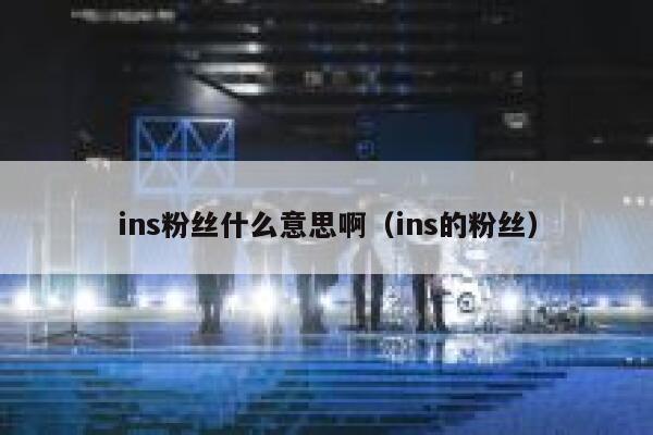 ins粉丝什么意思啊（ins的粉丝） 第1张