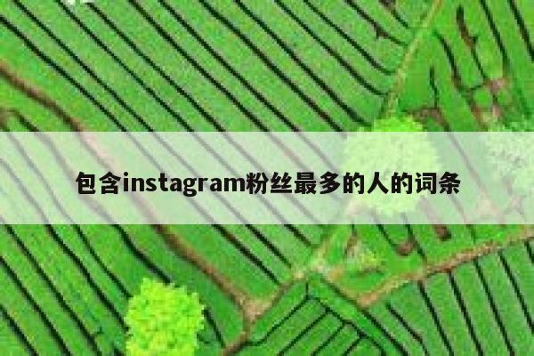 包含instagram粉丝最多的人的词条 第1张