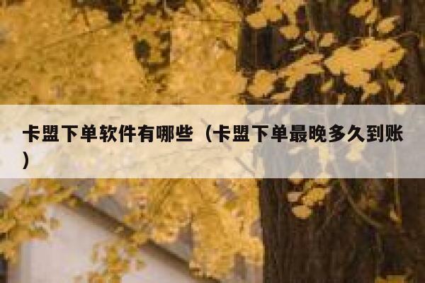 卡盟下单软件有哪些（卡盟下单最晚多久到账） 第1张
