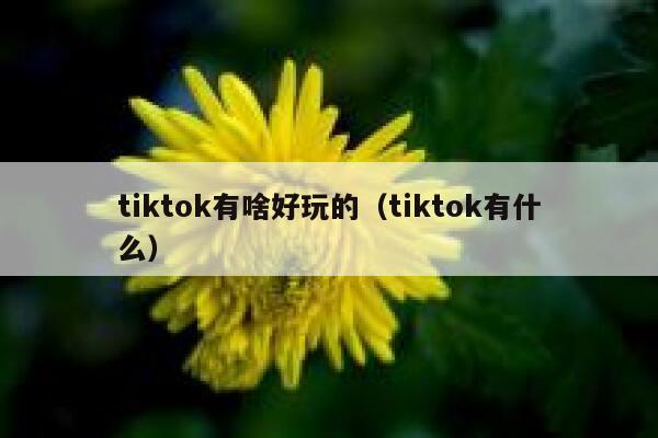 tiktok有啥好玩的（tiktok有什么） 第1张