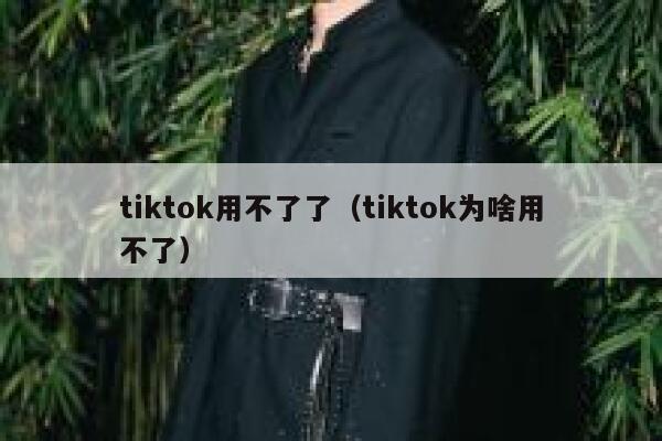 tiktok用不了了（tiktok为啥用不了） 第1张