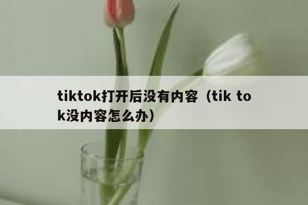 tiktok打开后没有内容（tik tok没内容怎么办） 第1张