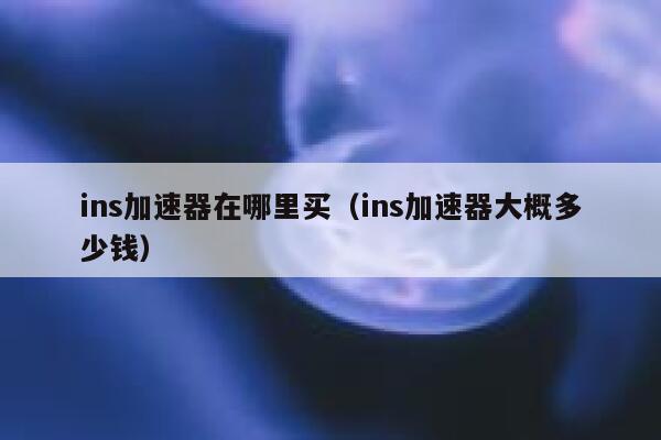 ins加速器在哪里买（ins加速器大概多少钱） 第1张