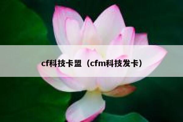 cf科技卡盟（cfm科技发卡） 第1张