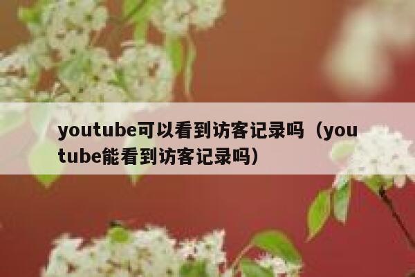youtube可以看到访客记录吗(youtube能看到访客记录吗) 第1张 youtube可以看到访客记录吗(youtube能看到访客记录吗) 第1张