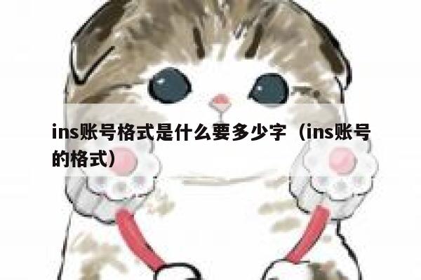 ins账号格式是什么要多少字（ins账号的格式） 第1张