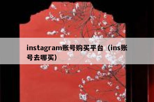 instagram账号购买平台（ins账号去哪买） 第1张