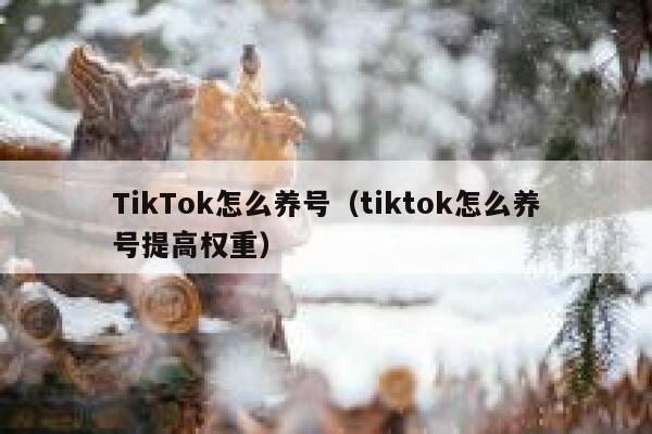 TikTok怎么养号（tiktok怎么养号提高权重） 第1张